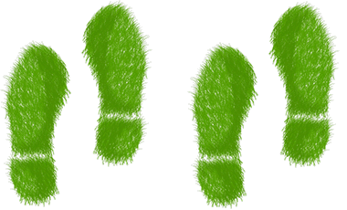 green-steps.png